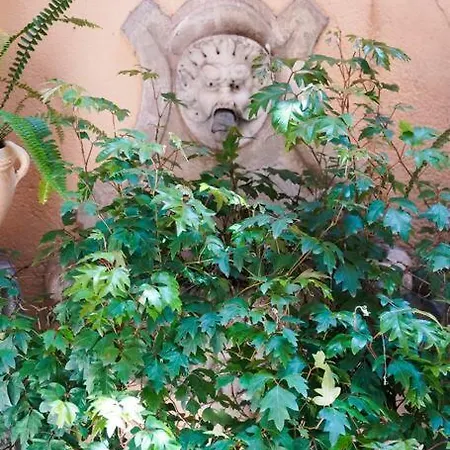 Babuino Terrace * Rome