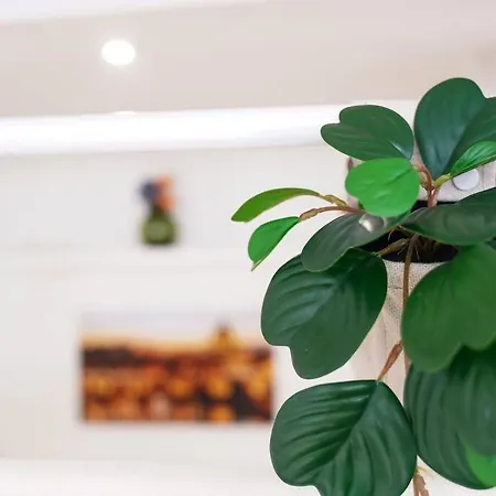 Babuino Terrace Lägenhet