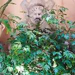 Babuino Terrace * Róma